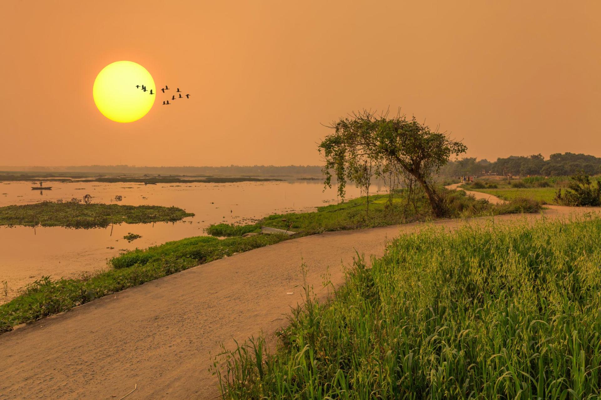 Rural Sunrise
